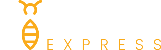 Básicos Express